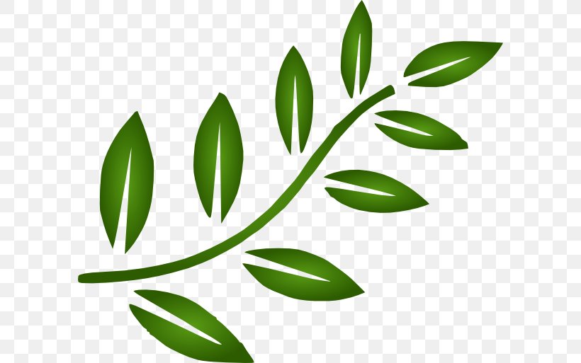 Branch Leaf Clip Art, PNG, 600x513px, Branch, Commodity, Flora, Grass, Grass Family Download Free