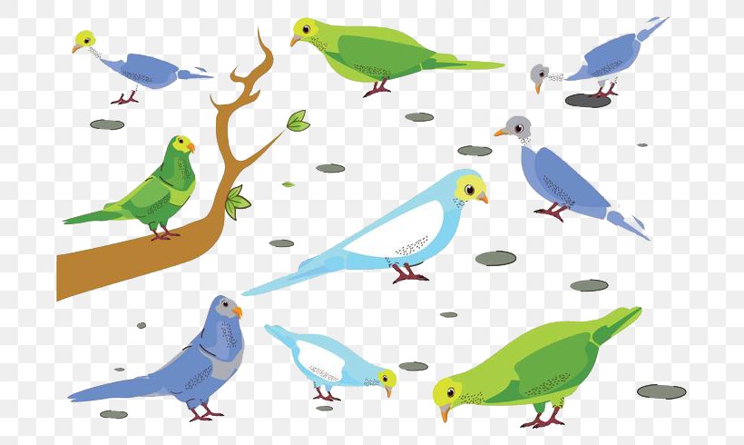 Budgerigar Parrot Bird Clip Art, PNG, 700x490px, Budgerigar, Area, Beak, Bird, Common Pet Parakeet Download Free