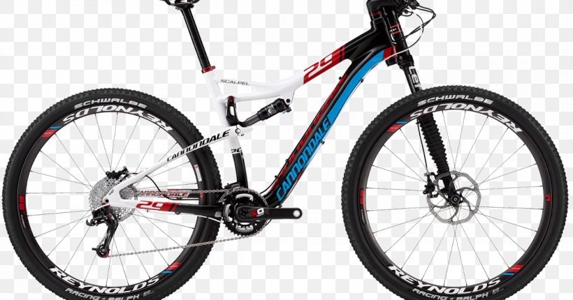 Cannondale Bicycle Corporation Mountain Bike 29er GT Bicycles, PNG, 1200x630px, Bicycle, Automotive Tire, Automotive Wheel System, Bicycle Accessory, Bicycle Drivetrain Part Download Free