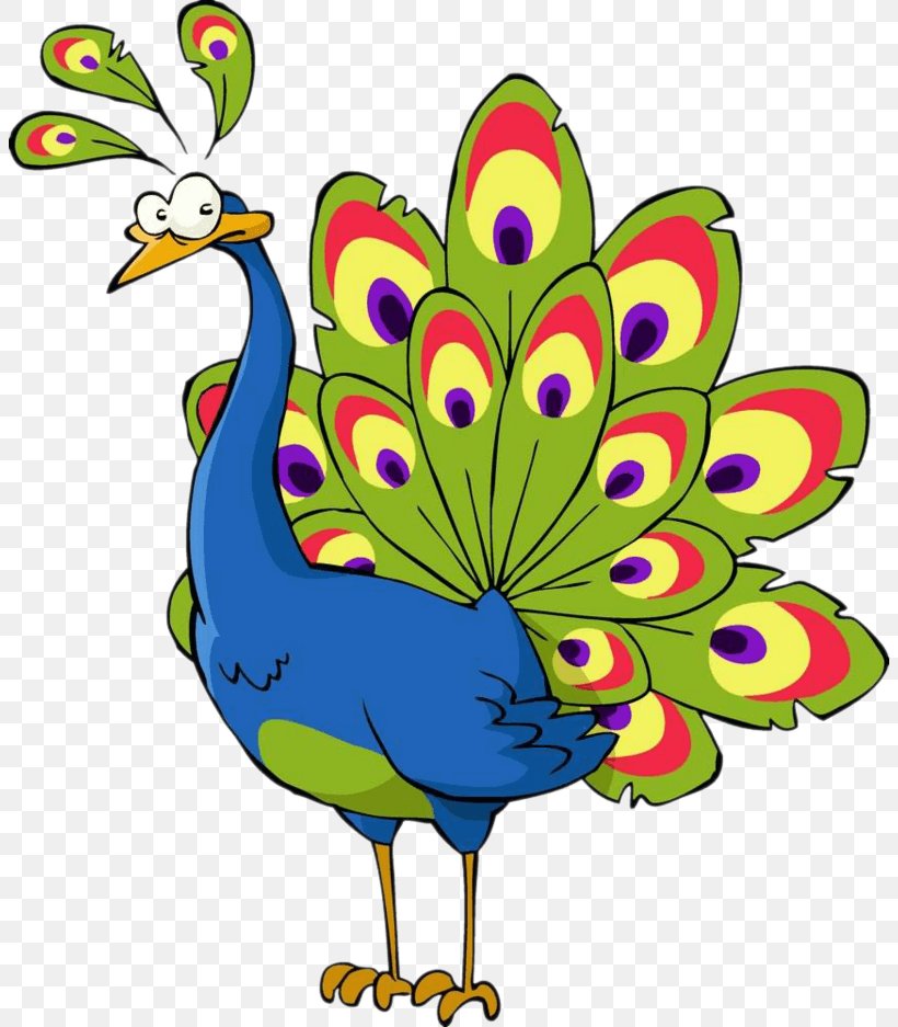 Royalty-free Stock Photography Vector Graphics Peafowl Illustration, PNG, 804x937px, Royaltyfree, Beak, Bird, Cartoon, Chicken Download Free