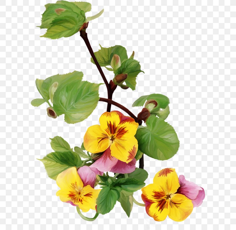Blahoželanie Name Day Wish Birthday, PNG, 607x800px, Name Day, Annual Plant, Birthday, Cut Flowers, Day Download Free