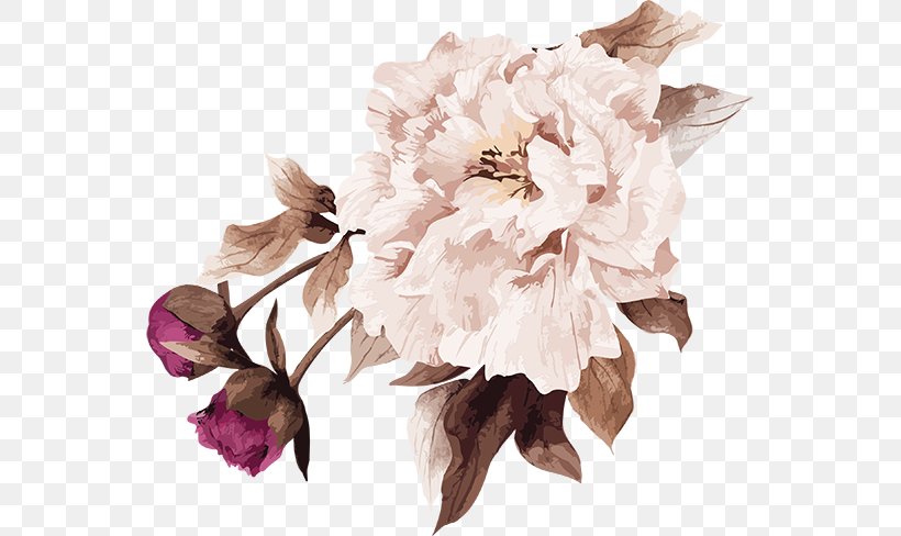 Cut Flowers Floral Design Art Flower Bouquet, PNG, 555x488px, Cut Flowers, Art, Floral Design, Flower, Flower Bouquet Download Free