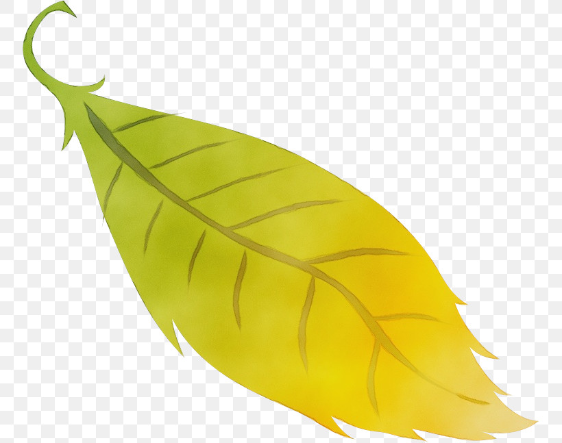 Leaf Yellow Plant Structure Biology Plants, PNG, 753x647px, Watercolor, Biology, Leaf, Paint, Plant Structure Download Free