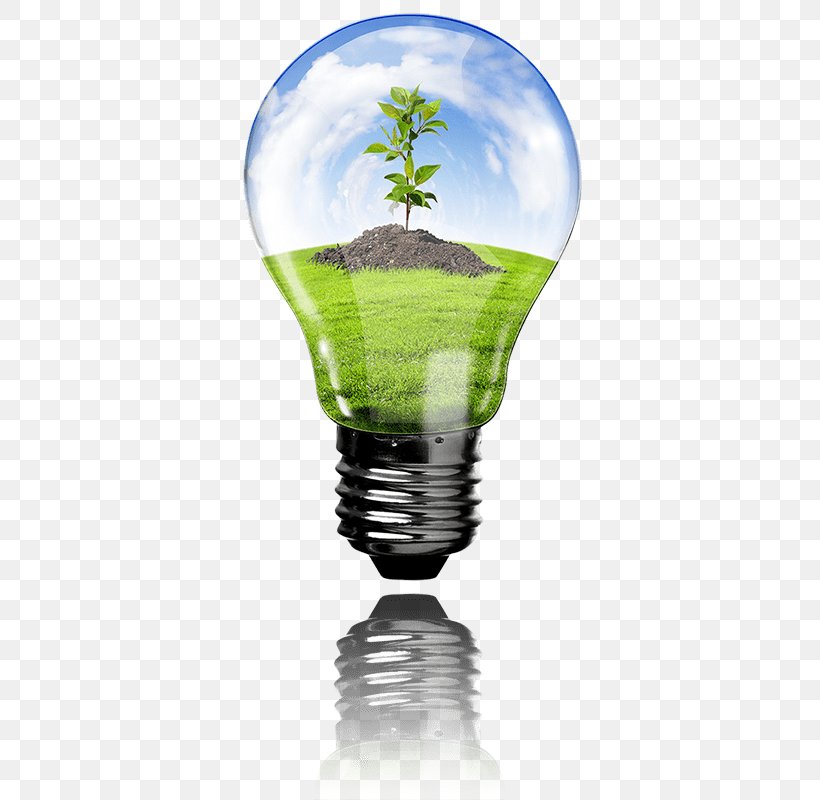 Renewable Energy Stock Photography Solar Panels Solar Energy, PNG, 380x800px, Renewable Energy, Compact Fluorescent Lamp, Drinkware, Electricity, Energy Download Free
