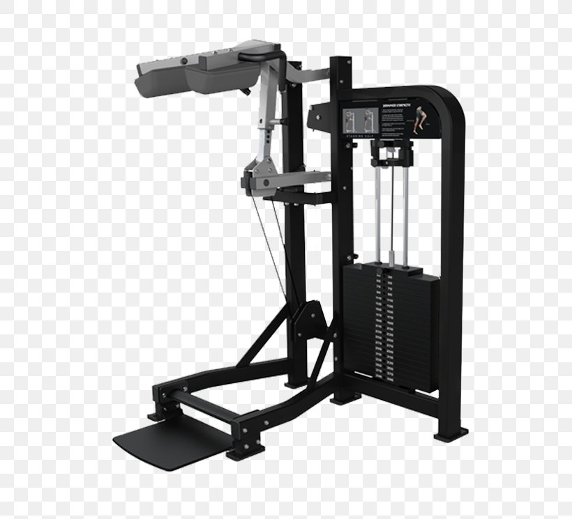 Strength Training Calf Raises Fitness Centre Exercise, PNG, 745x745px, Strength Training, Automotive Exterior, Bench Press, Biceps Curl, Calf Download Free