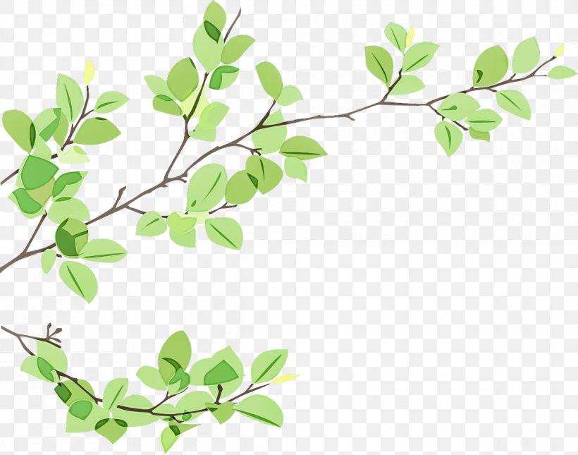 Plant Flower Leaf Branch Tree, PNG, 1200x945px, Plant, Branch, Flower, Leaf, Plant Stem Download Free