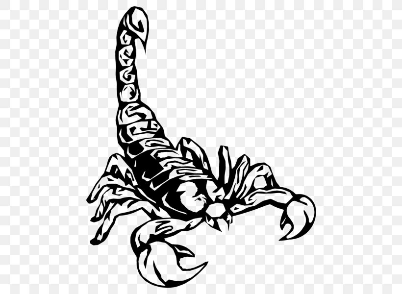 Tattoo Artist Scorpion Flash, PNG, 600x600px, Tattoo, Art, Artwork ...