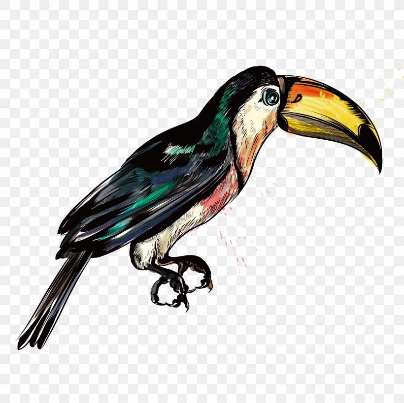 Big Bird Hummingbird Parrot, PNG, 1600x1600px, Watercolor, Cartoon, Flower, Frame, Heart Download Free