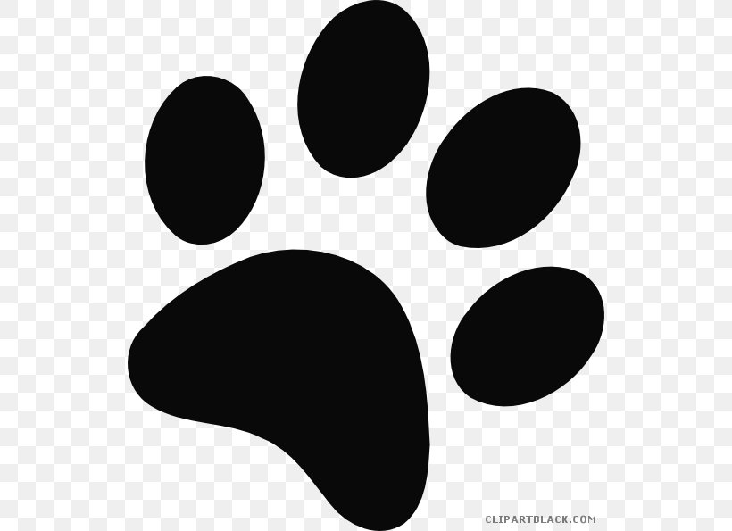 Cat Bear Dog Paw Tiger, PNG, 534x595px, Cat, Art, Bear, Black, Black And White Download Free