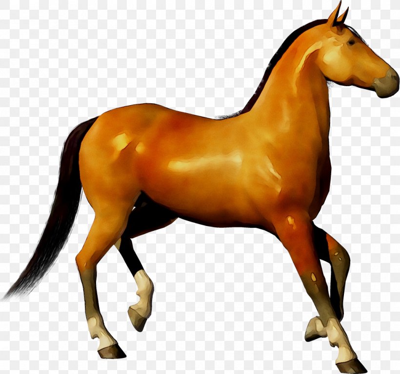 Clip Art Transparency Openclipart Morgan Horse, PNG, 1070x1003px, Morgan Horse, American Quarter Horse, Animal Figure, Colt, Figurine Download Free