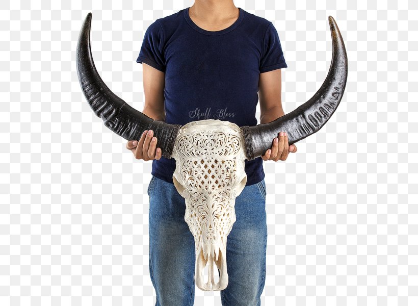 Horn Cattle Skull Flower, PNG, 600x600px, Horn, American Bison, Balinese Art, Balinese People, Buffalo Download Free