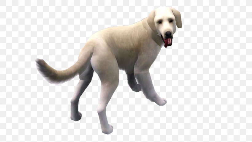 Labrador Retriever Puppy Dog Breed Companion Dog Sporting Group, PNG, 1100x621px, Labrador Retriever, Breed, Carnivoran, Companion Dog, Dog Download Free