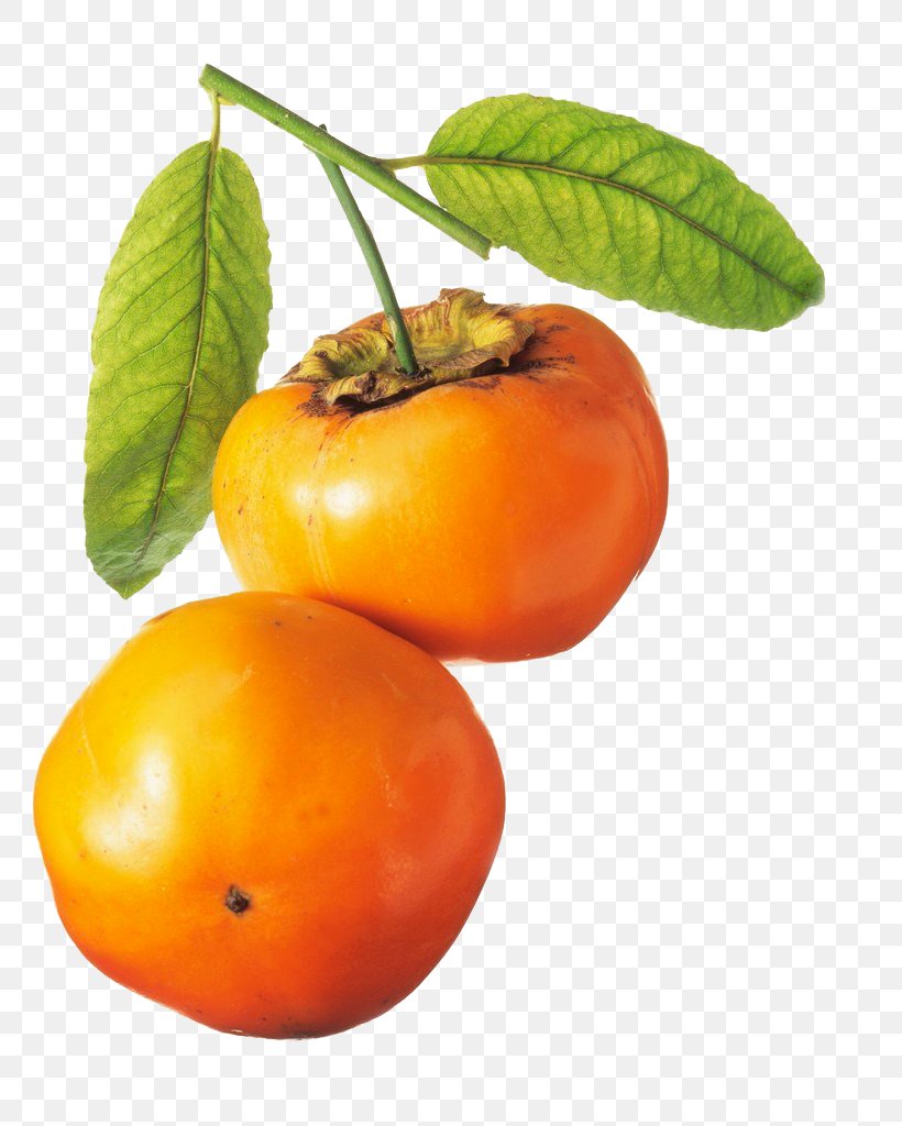 Persimmon Fruit Tangerine, PNG, 817x1024px, Persimmon, Auglis, Bush Tomato, Citrus, Clementine Download Free