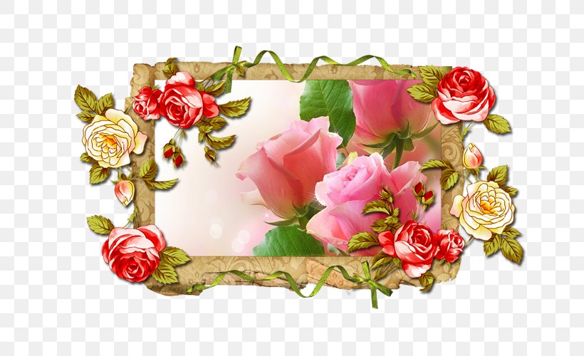 Picture Frames Photography Clip Art, PNG, 800x500px, Picture Frames, Artificial Flower, Blossom, Cut Flowers, Floral Design Download Free