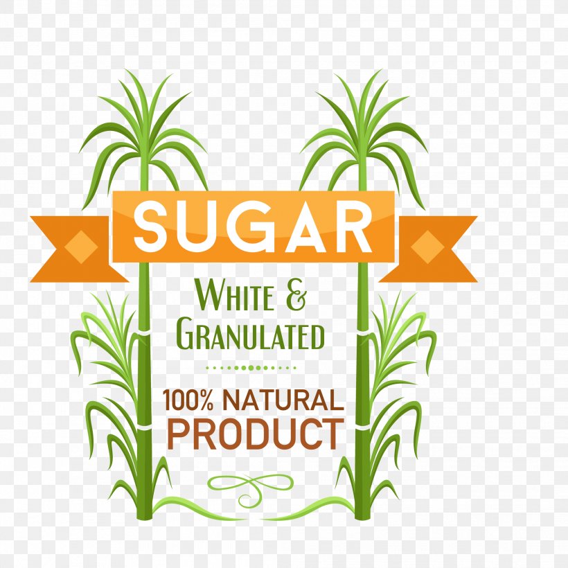 Sugarcane Sucrose, PNG, 2083x2083px, Sugarcane, Area, Candy, Flower, Flowering Plant Download Free