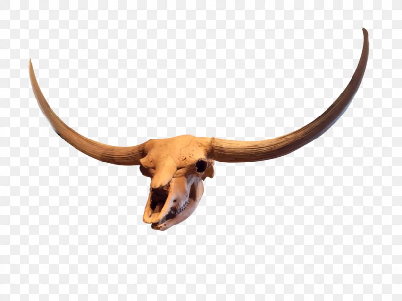 Texas Longhorn Antelope Goat Stock, PNG, 1024x768px, Texas Longhorn, Animal, Antelope, Cattle, Cattle Like Mammal Download Free