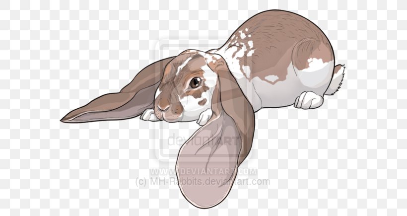 Hare Reptile Ear Illustration Mammal, PNG, 600x435px, Watercolor, Cartoon, Flower, Frame, Heart Download Free