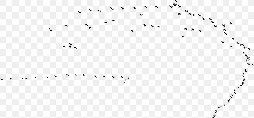Hummingbird Swallow Flight Flock, PNG, 2283x1066px, Bird, Area, Barn Swallow, Beak, Bird Flight Download Free