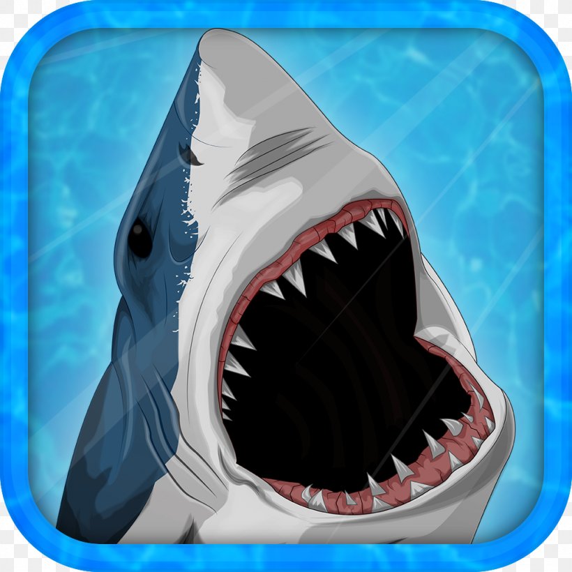 Tiger Shark Requiem Sharks Jaw, PNG, 1024x1024px, Tiger Shark, Cartilaginous Fish, Electric Blue, Fish, Jaw Download Free
