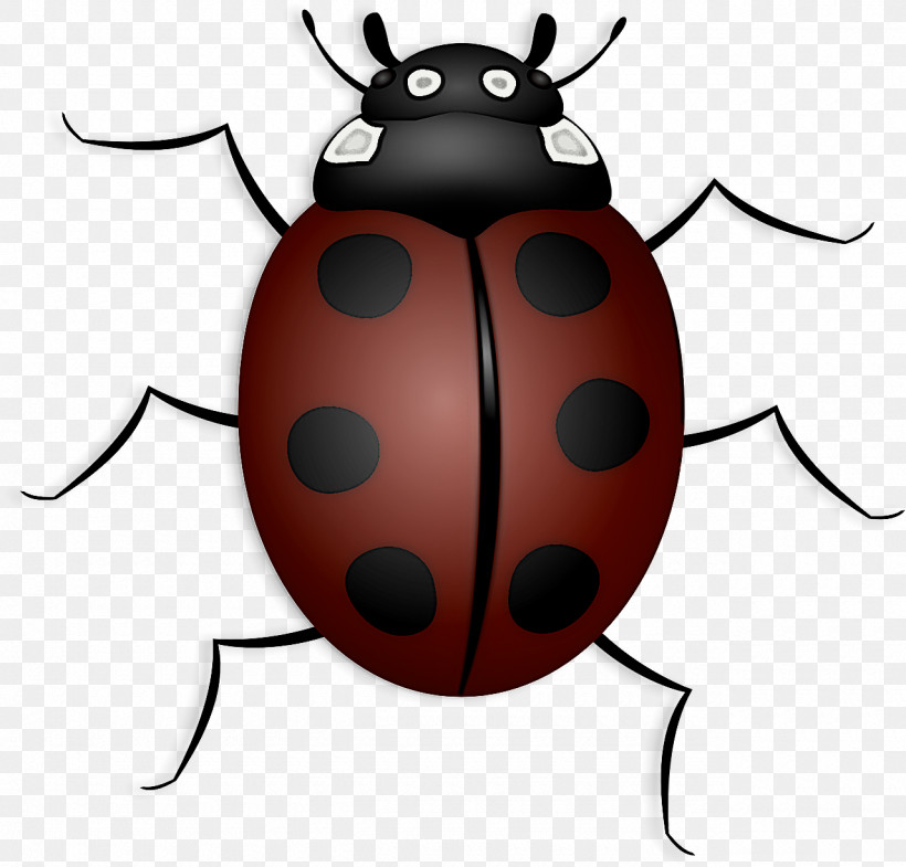 Beetles Ladybird Beetle Seven-spot Ladybird Scarlet Lily Beetle Brown Marmorated Stink Bug, PNG, 1280x1226px, Beetles, Arthropod Leg, Brown Marmorated Stink Bug, Flower Chafers, Insect Download Free