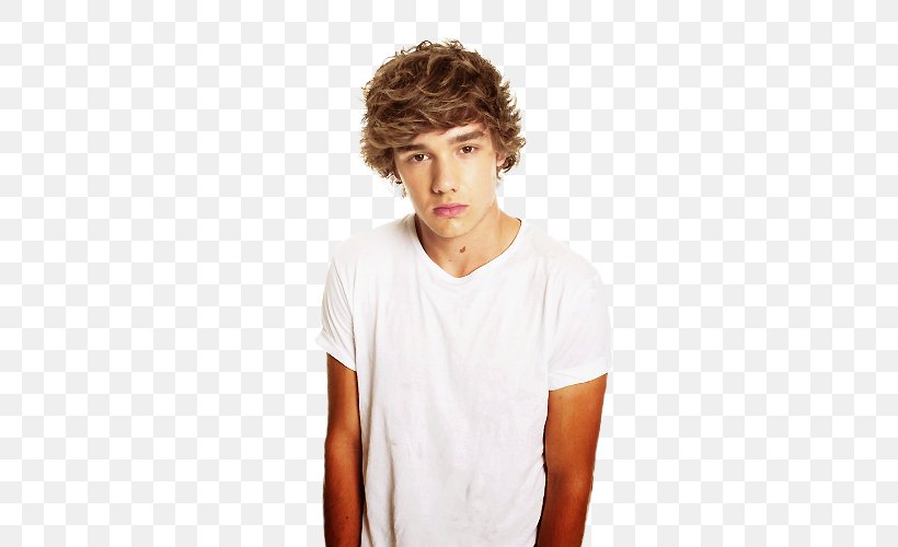 Liam Payne One Direction Musician, PNG, 500x500px, Watercolor, Cartoon, Flower, Frame, Heart Download Free