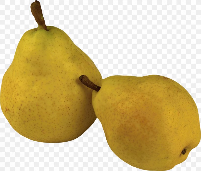 Pear Fruit Salad Computer File, PNG, 1262x1073px, Pear, Amygdaloideae, Asian Pear, Citron, Citrus Download Free