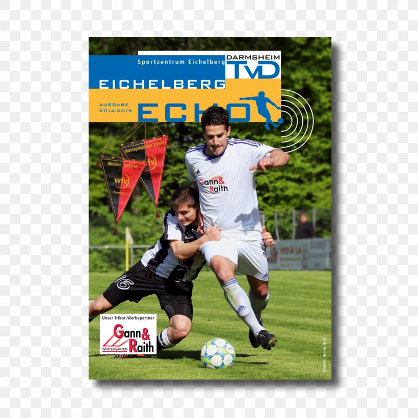 Team Sport Advertising Pamphlet PEP Medienstudio Football, PNG, 1000x1000px, Team Sport, Advertising, Ball, Brochure, Championship Download Free