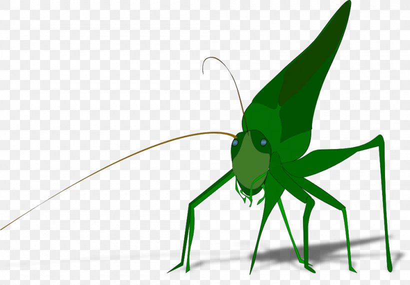 The Ant And The Grasshopper Clip Art, PNG, 1000x696px, Ant And The Grasshopper, Arthropod, Cricket Like Insect, Drawing, Fly Download Free