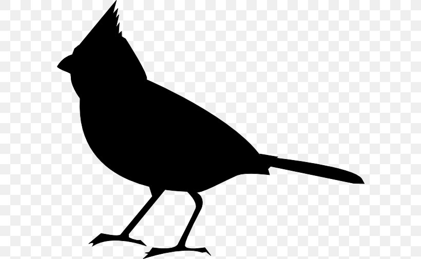 Bird Clip Art Vector Graphics Northern Cardinal European Robin, PNG, 600x505px, Bird, Art, Beak, Blackandwhite, Blackbird Download Free