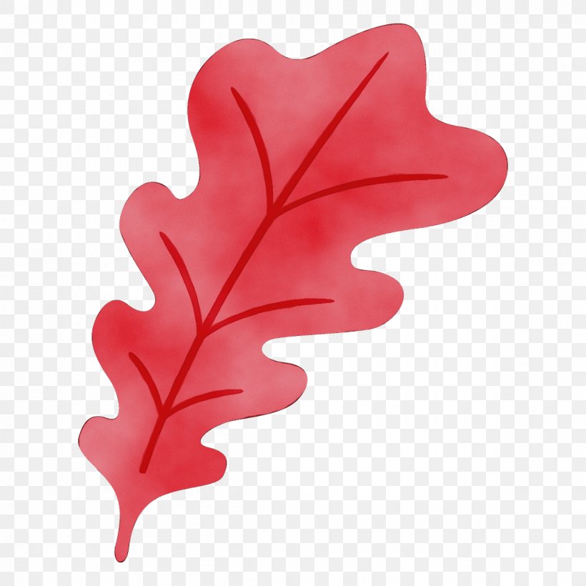 Leaf Red Pink Heart Plant, PNG, 1200x1200px, Watercolor, Flower, Heart, Leaf, Paint Download Free