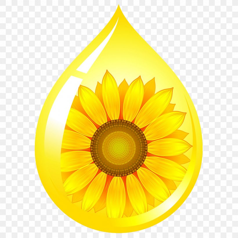 Sunflower Oil Cooking Oils Vegetable Oil Food, PNG, 1600x1600px, Sunflower Oil, Common Sunflower, Cooking, Cooking Oils, Corn Oil Download Free