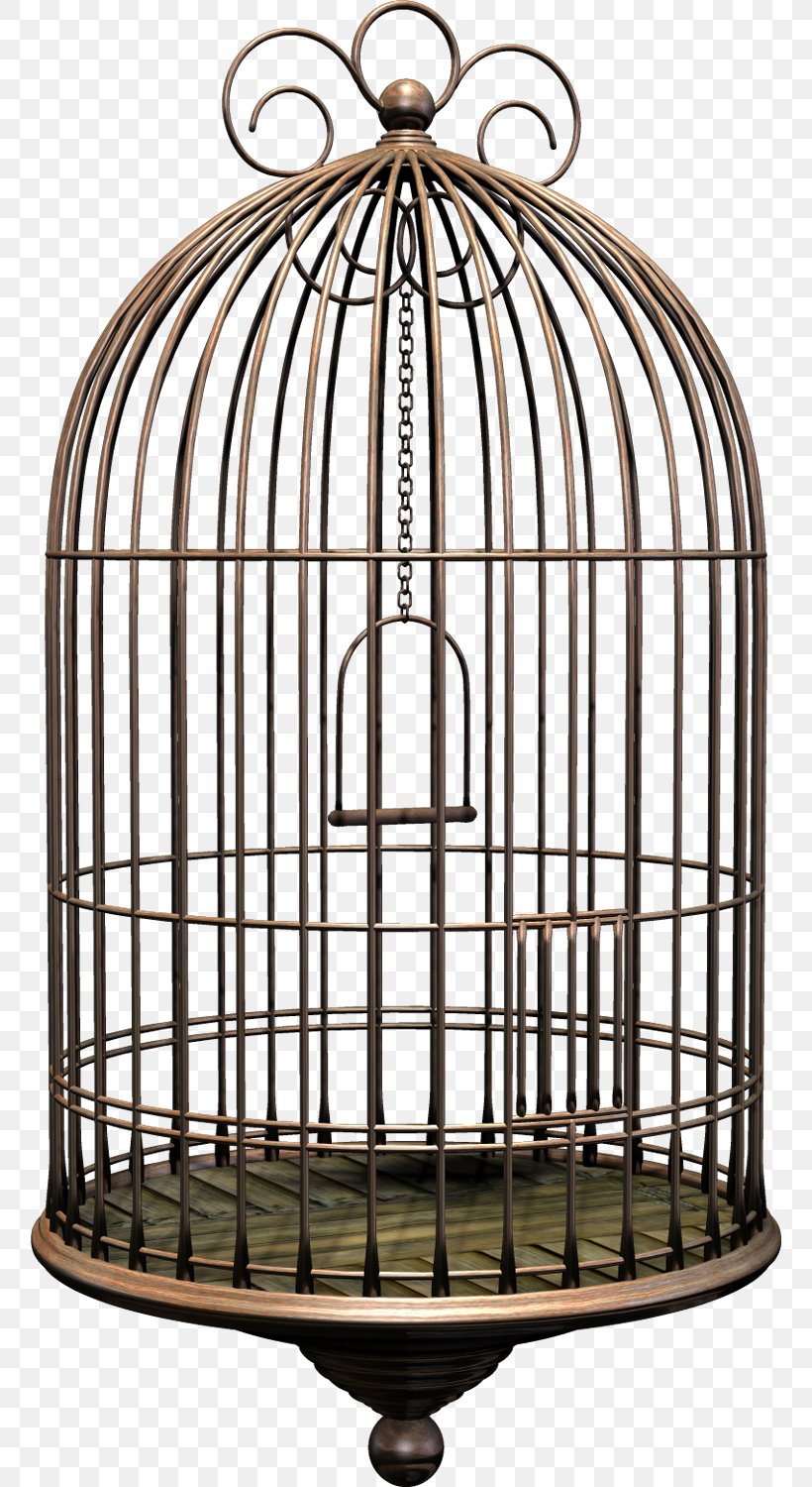 Birdcage Cockatiel, PNG, 758x1500px, Bird, Art, Bird Of Prey, Birdcage, Cage Download Free