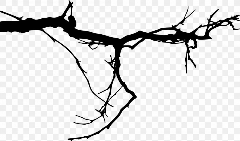 Branch Tree Silhouette Clip Art, PNG, 2200x1299px, Branch, Art, Artwork, Black And White, Flora Download Free