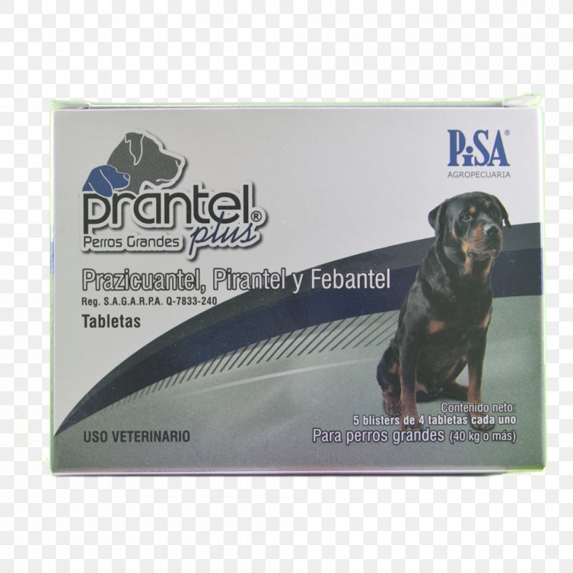 Dog Deworming Cat Puppy Praziquantel, PNG, 1000x1000px, Dog, Ancylostoma Caninum, Anthelmintic, Brand, Cat Download Free