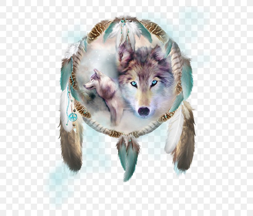 Dreamcatcher Pillow Case, PNG, 554x700px, Dog, Canidae, Child, Computer, Dog Like Mammal Download Free