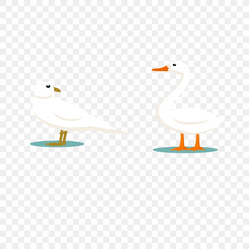 Duck Area Cartoon Beak Pattern, PNG, 2836x2836px, Duck, Area, Beak, Bird, Cartoon Download Free