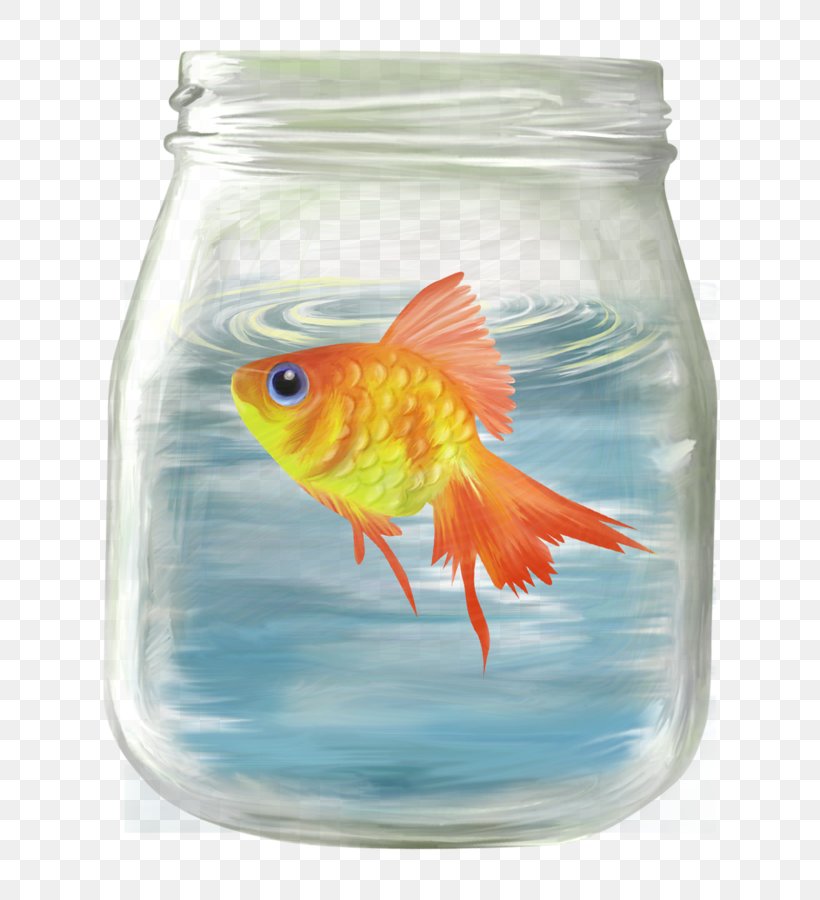 Goldfish Clip Art, PNG, 750x900px, Goldfish, Bony Fish, Cartoon, Drawing, Feeder Fish Download Free
