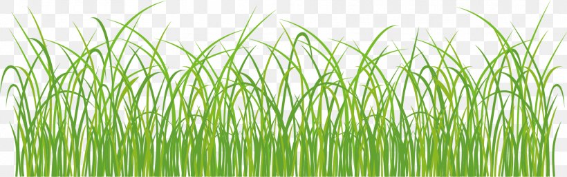 Grassland, PNG, 1872x588px, Grass, Artworks, Chrysopogon Zizanioides, Commodity, Computer Graphics Download Free