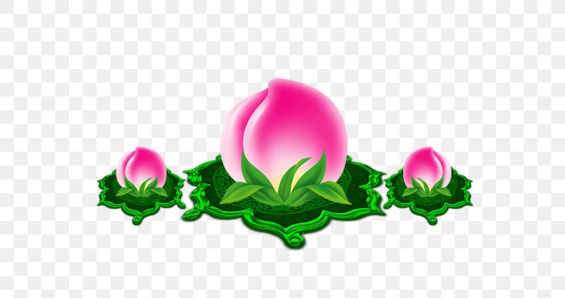 Longevity Peach Saturn Peach, PNG, 700x432px, Longevity Peach, Art, Chinese New Year, Designer, Flower Download Free