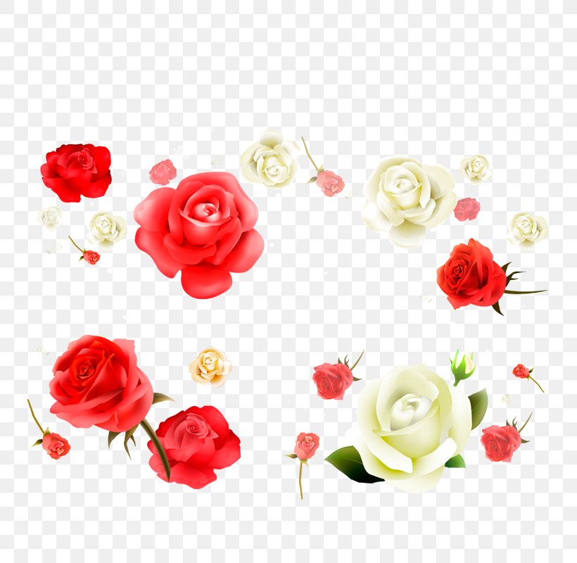 Beach Rose Flower White Red Petal, PNG, 800x800px, Beach Rose, Artificial Flower, Black, Cut Flowers, Floral Design Download Free