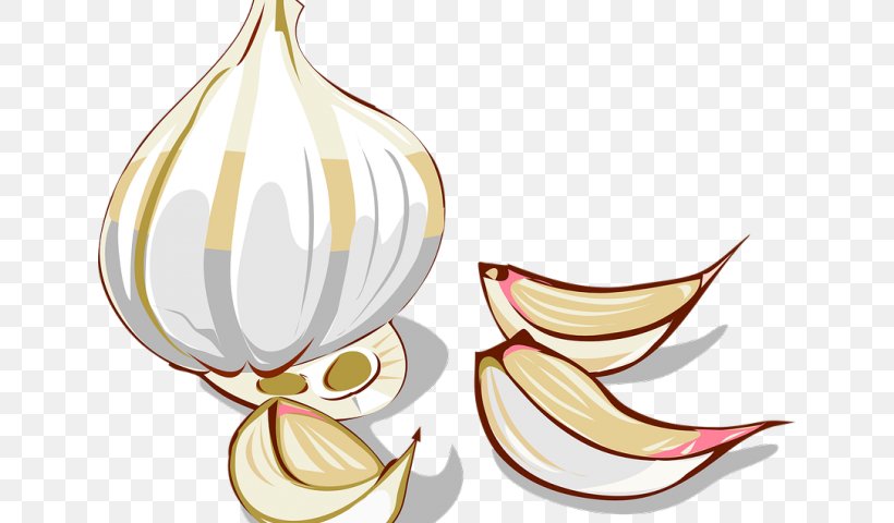 Garlic Bread Clip Art Spice Vector Graphics, PNG, 640x480px, Garlic Bread, Bread, Drawing, Flower, Flowering Plant Download Free