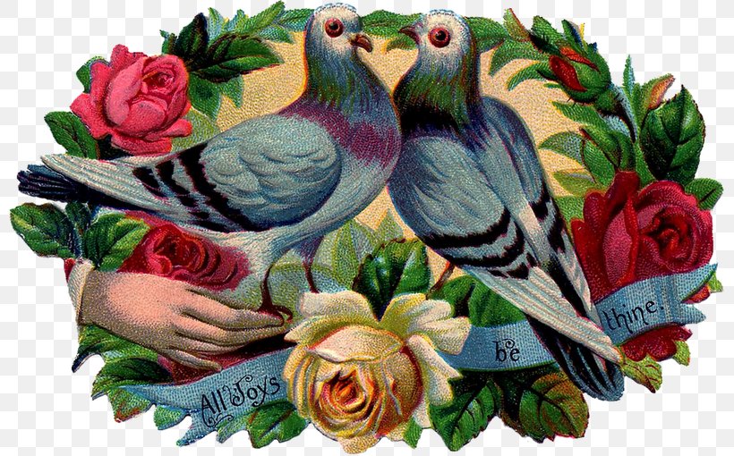 Garden Roses Floral Design, PNG, 800x510px, Rose, Art, Beak, Bird, Cut Flowers Download Free