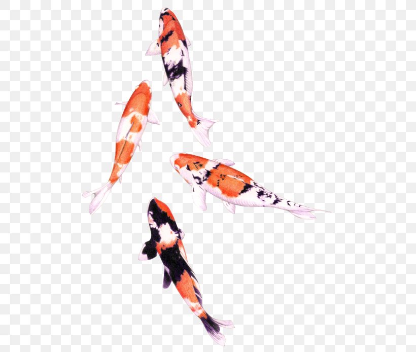 Koi Drawing Watercolor Painting Fish Colored Pencil, PNG, 520x694px, Koi, Art, Color, Colored Pencil, Drawing Download Free