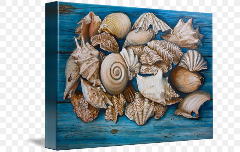 Seashell Artist Painting Conchology, PNG, 650x521px, Seashell, Art, Art Museum, Artist, Clams Oysters Mussels And Scallops Download Free