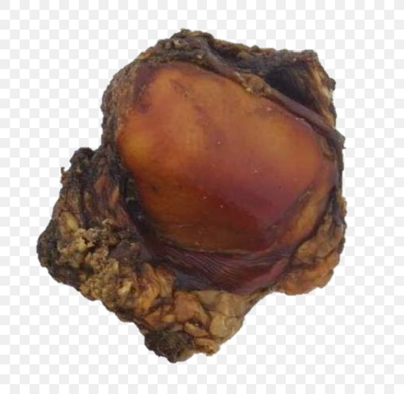 Dog Biscuit Bone Patella Knee, PNG, 800x800px, Dog, Animal Source Foods, Beef, Bone, Clams Oysters Mussels And Scallops Download Free