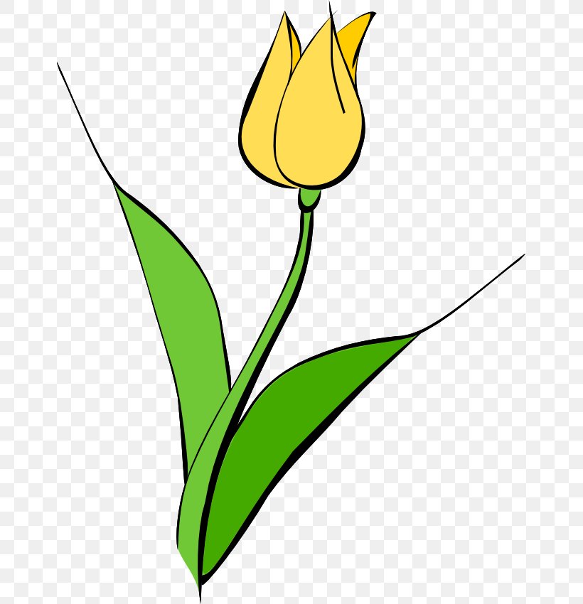 Tulipa Gesneriana Yellow Flower Clip Art, PNG, 659x850px, Tulipa Gesneriana, Area, Artwork, Drawing, Flora Download Free