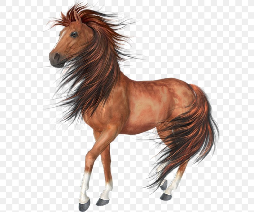 Horse Desktop Wallpaper Clip Art, PNG, 600x685px, Horse, Bridle, Computer Graphics, Computer Software, Horse Like Mammal Download Free
