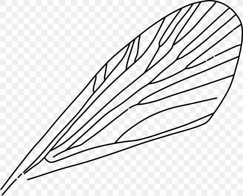 Insect Wing Drawing Airplane Clip Art, PNG, 2400x1937px, Insect Wing, Airplane, Ant, Area, Artwork Download Free