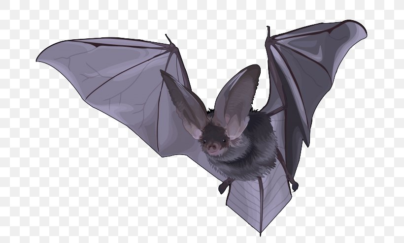 Origami, PNG, 700x494px, Bat, Little Brown Myotis, Origami, Purple, Vampire Bat Download Free