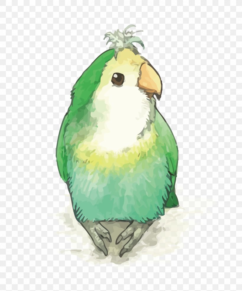 Parrot Lovebird Rose-ringed Parakeet, PNG, 1500x1800px, Parrot, Beak, Bird, Bird Supply, Common Pet Parakeet Download Free